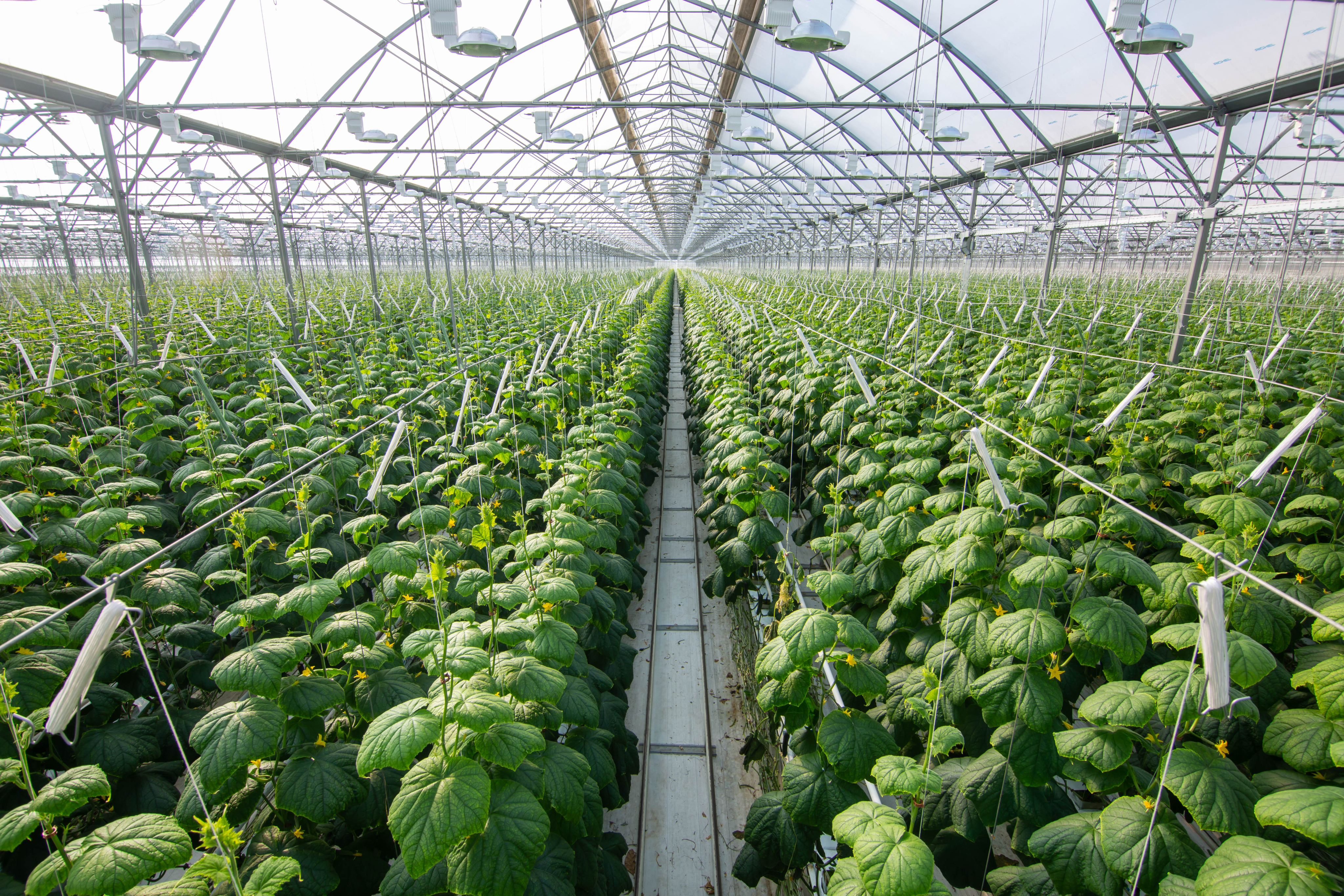 ფინანსური სიახლეები და ანალიზი იმისათვის